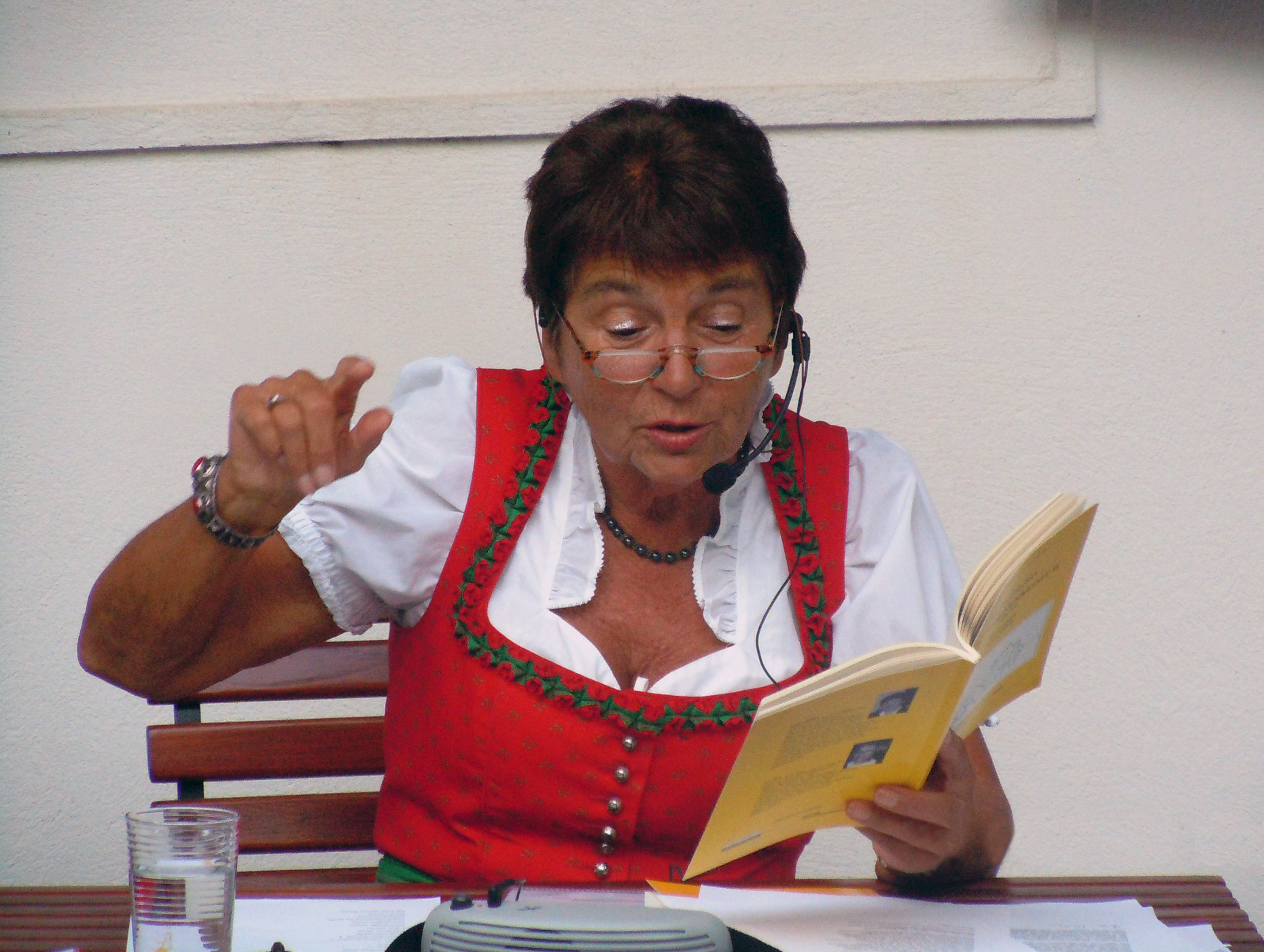 Hilde Philippi; Lesung Höfefest Klosterneuburg 2013